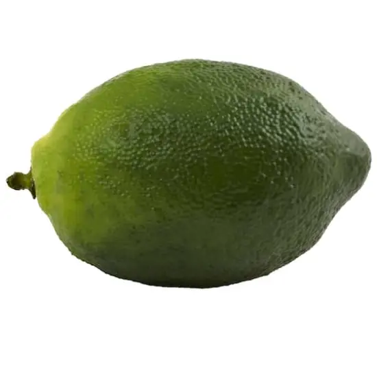 Faux Limes, 12ct. {5}