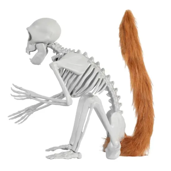 11" Skeleton Monkey by Ashland&reg; {4}