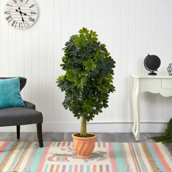 5ft. Umbrella Tree in Terra Cotta Planter {4}