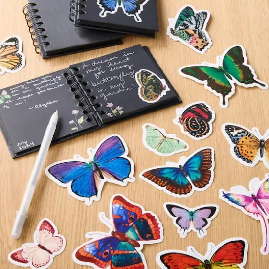 Vinyl Diecut Butterfly Stickers by Recollections&trade; Matte Pack {6}