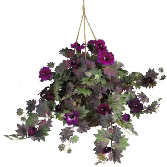 24" Purple Morning Glory Hanging Basket {1}
