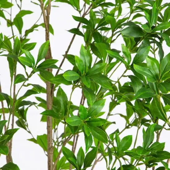 8ft. Artificial Minimalist Japanese Pieris Tree {5}