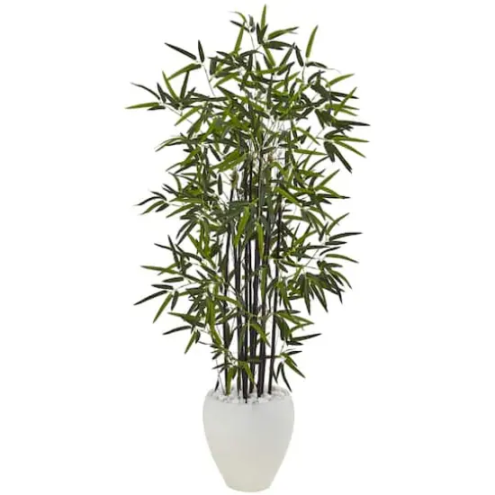5ft. Black Bamboo Tree in White Oval Planter {1}