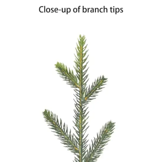 7.5ft. Pre-Lit Miracle Shape&trade; Alberta Spruce Artificial Christmas Tree, Dual-Color LED Lights {7}