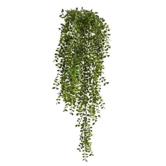 3ft. Potted Honey Locust Bush Plant, 2ct. {1}