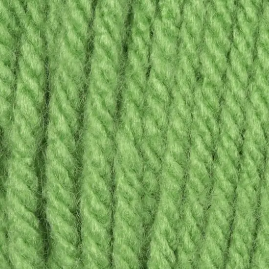 Caron&reg; One Pound&trade; Yarn Grass Green {3}