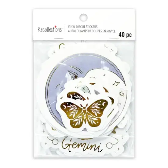 Vinyl Diecut Zodiac Sticker Set by Recollections&trade; {5}