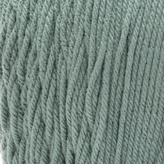 Caron&reg; One Pound&trade; Solid Hosta Green Yarn {3}