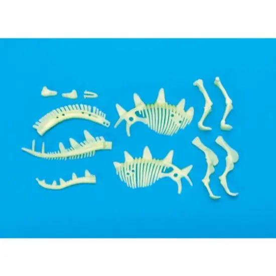 The Original Glowstars&reg; Company Glow-In-The-Dark Dinos Stegosaurus Skeleton {3}