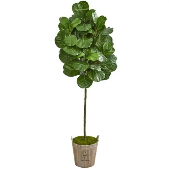 6.5ft. Green Fiddle Leaf Tree in Farmhouse Planter {1}