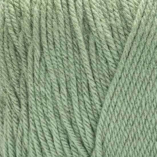 Color Craft&trade; by Loops & Threads&reg; Sage {3}