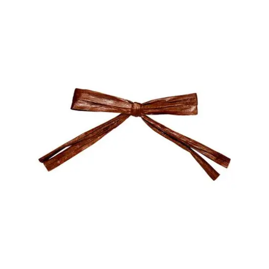JAM Paper 0.25" 2 Strand Raffia Twist Tie Bows, 100ct. Chocolate Brown {1}