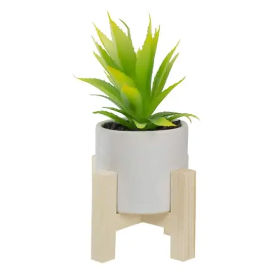 8.25" Potted Green Agave Plant with Wooden Stand {4}