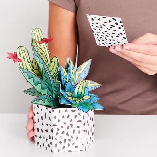 Faber-Castell&reg; Succulents Pop Up Coloring Bouquet {9}