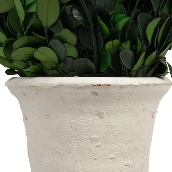 Hello Honey&reg; 17'' Boxwood Cone Topiary in White Clay Pot {5}