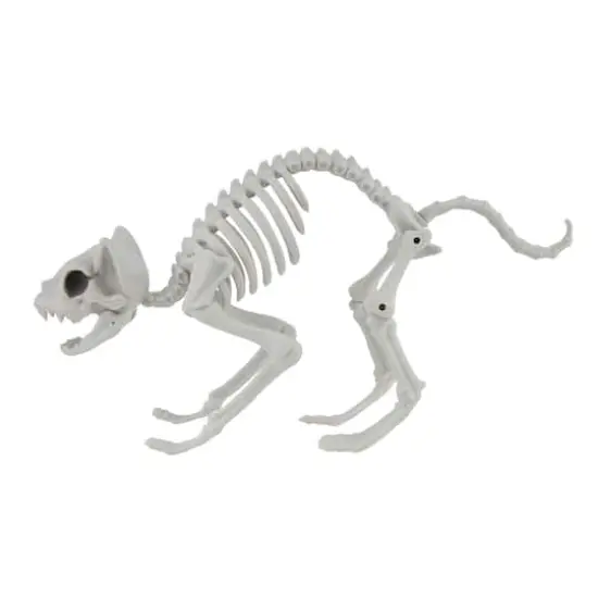 11" Cat Skeleton by Ashland&reg; {1}