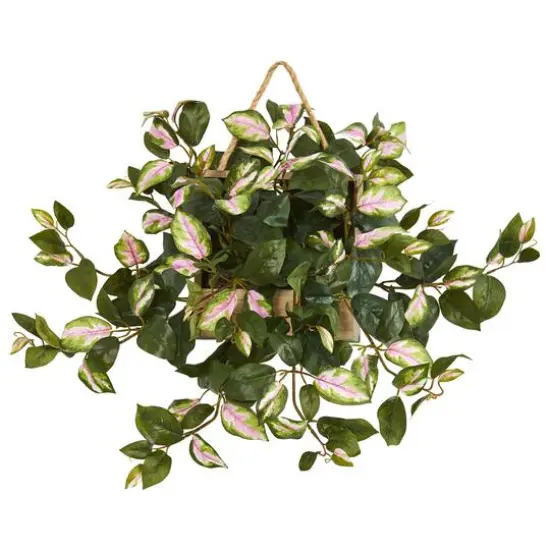 24" Hoya Arrangement in Decorative Hanging Frame {1}