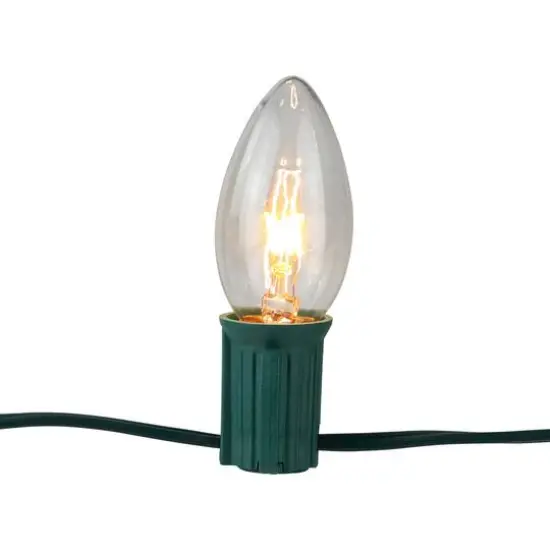 Mighty Light Clear C9 Christmas Pathway Marker Set, Green Wire {10}