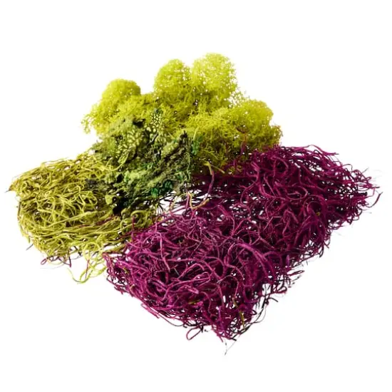 Red Moss Variety Pack by Ashland&reg; {4}