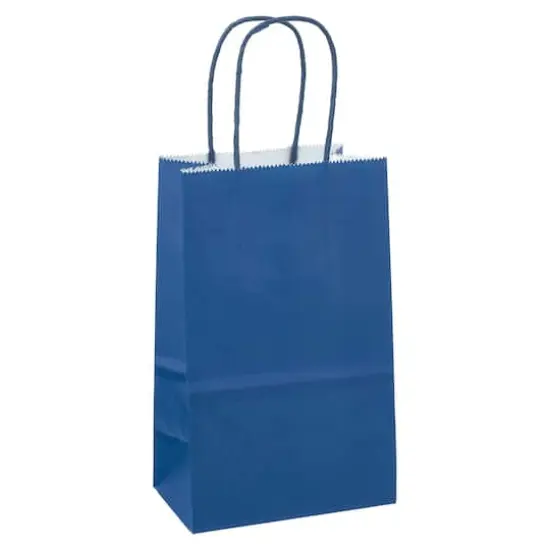 Small Navy Paper Bags by Celebrate It&trade; {1}