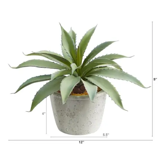 9" Potted Aloe Succulent Plant {3}