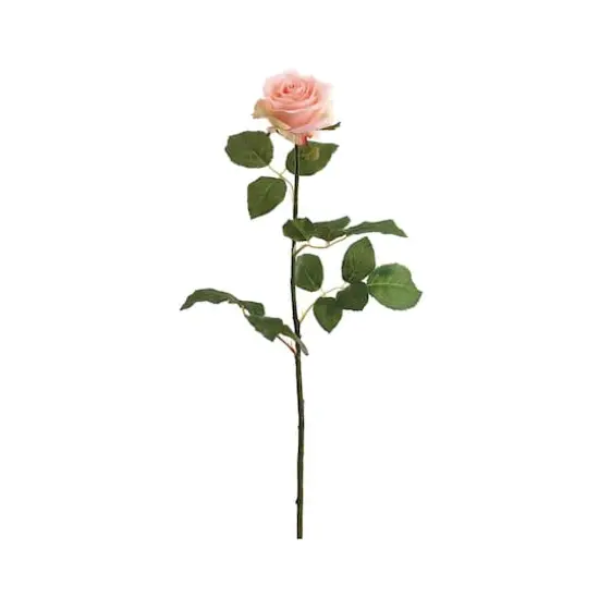 Peach & Cream Confetti Rose Spray {1}