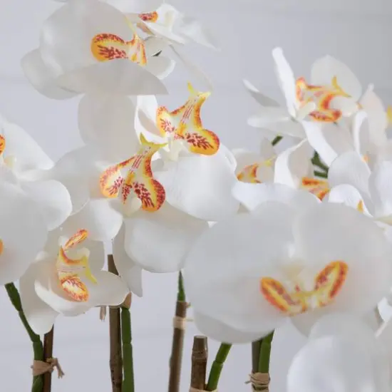 3ft. Artificial Large Orchid Arrangement in Handmade Mexican Talavera Ceramic Planter {7}