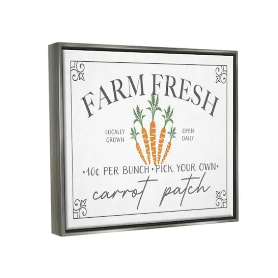 Stupell Industries Farm Fresh Carrot Patch Seasonal Springtime Vegetables Floater Framed Art Gray {4}