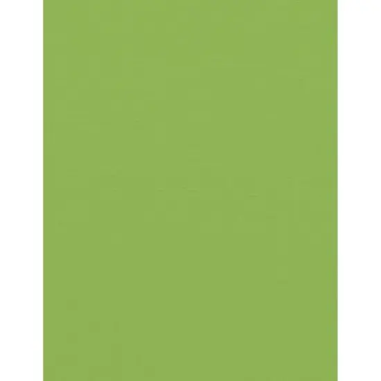 PA Paper™ Accents 8.5" x 11" 73lb. Muslin Cardstock Paper, 1,000 Sheets Tree Frog {1}