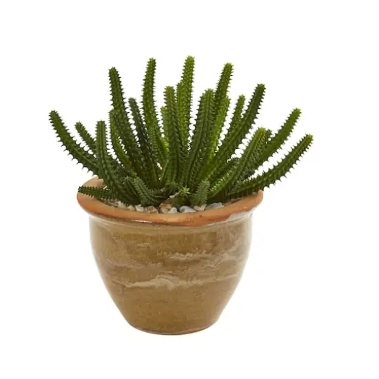 11" Cactus Succulent in Ceramic Vase Set {4}