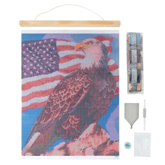 Bald Eagle Diamond Art Kit with Frame by Make Market&reg; {3}