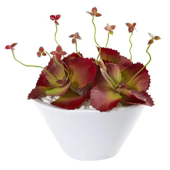 8" Burgundy Succulent Artificial Plant in White Bowl {1}