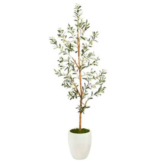 5.5ft. Olive Artificial Tree in White Planter {1}