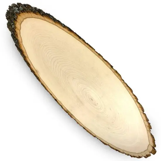 Wilson 3ft. Basswood Elongated Round Slice, 2ct. {5}