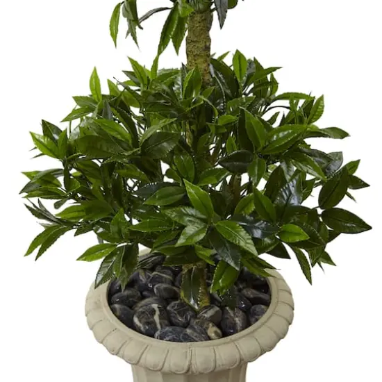 5.5ft. Triple Bay Leaf Topiary Tree in Urn {3}