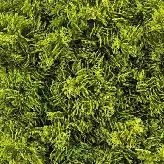 10" Faux Moss Mat by Ashland&reg; {5}