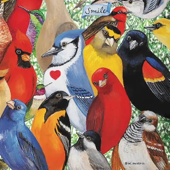 Hart Puzzles Birds, Birds, Birds by Wendy Russell 1,000 Piece Jigsaw Puzzle {5}