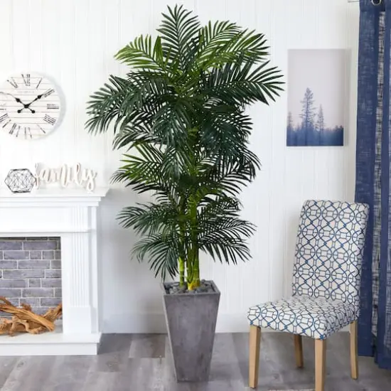 7ft. Golden Cane Palm Tree In Cement Planter {4}