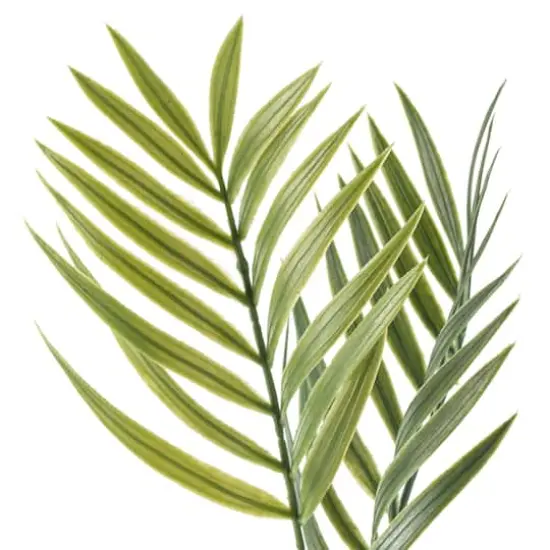 Tropical Palm Stem by Ashland&reg; {4}