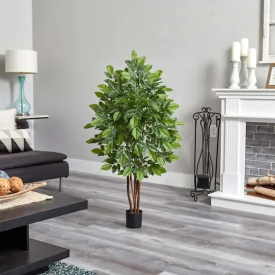 4ft. Potted River Birch Tree {4}