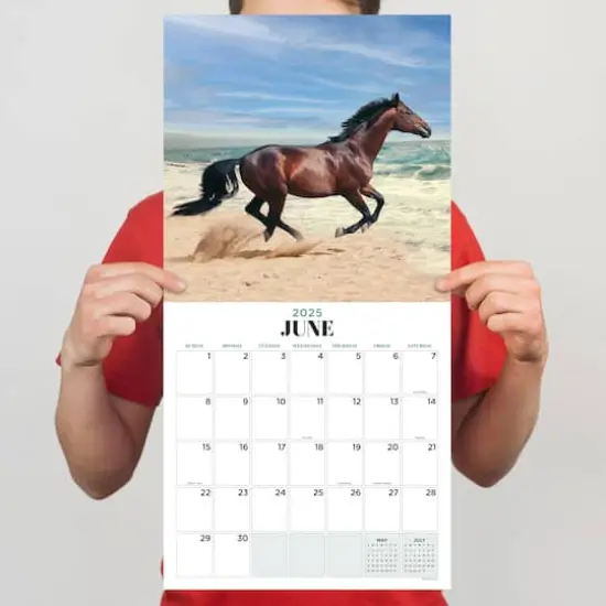 TF Publishing 2025 Horses Wall Calendar {5}