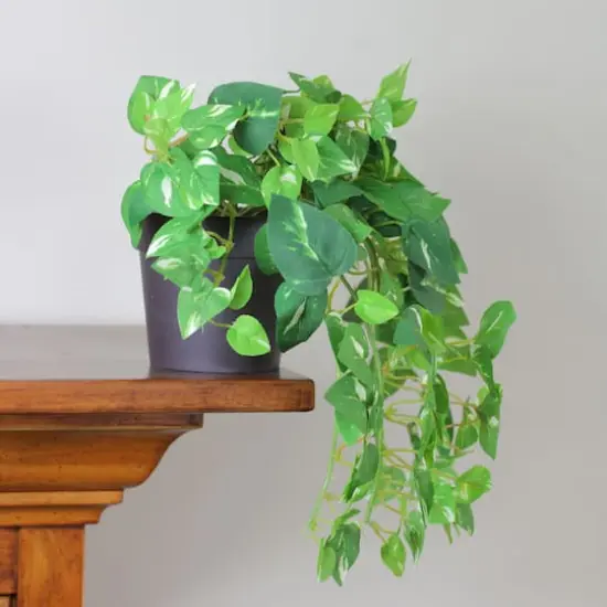 12" Potted Artificial Green Plant {3}
