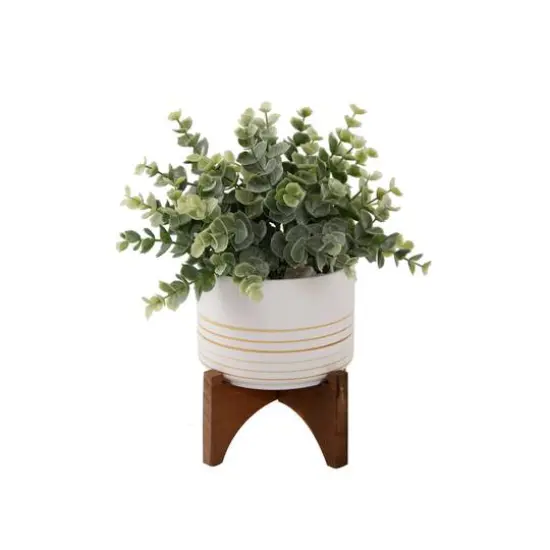 Flora Bunda&reg; 4.75" Eucalyptus In Ceramic Pot On Wood Stand {1}