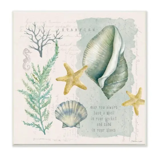 Stupell Industries Shell in Pocket Sand In Shoes Beach Quote,12" x 12" {1}