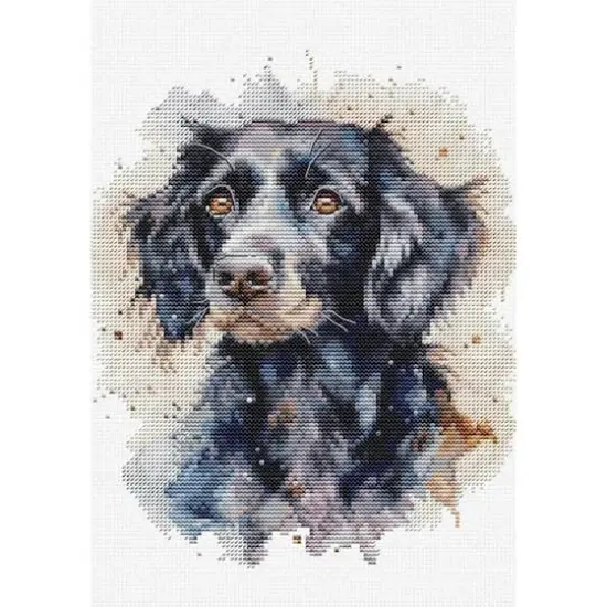 Luca-S The Border Collie Counted Cross Stitch Kit with Woodgrain Hoop {3}