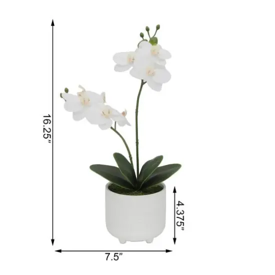 Flora Bunda&reg; 16" Real-Touch Orchid Barcode In Ceramic Footed Pot {3}