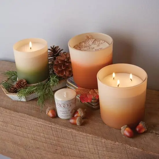 Root Candles Scented 20 Hour Beeswax Blend Votive Candles, 18ct. Acorns and Suede {5}