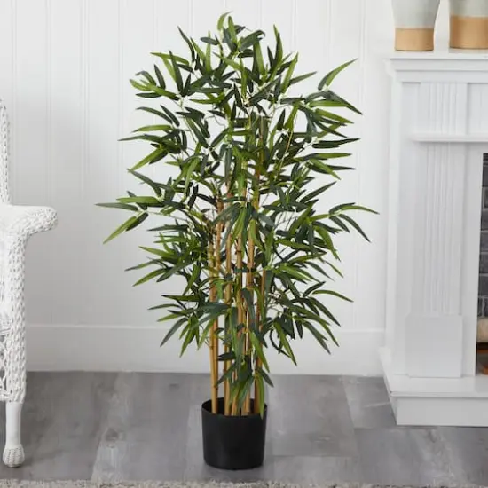 3.5ft. Potted Twiggy Bamboo Tree {3}