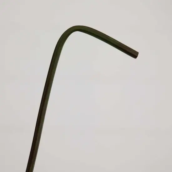 20" Pink Peony Flower Stems, 3ct. {7}