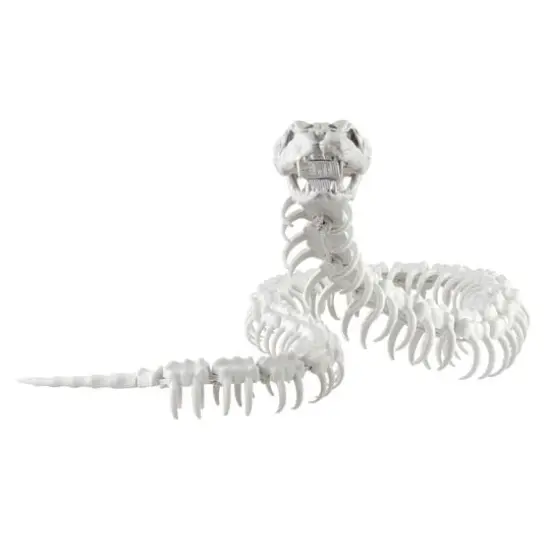 4.7ft. Sound Activated Snake Skeleton with Red Light-Up Eyes by Ashland&reg; {1}